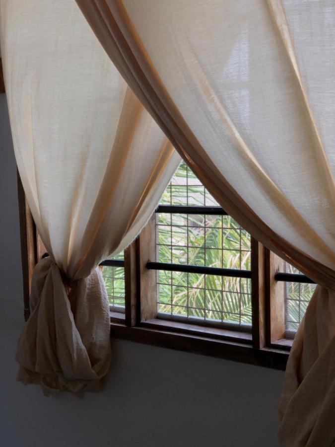 Mlango Paje House Bed & Breakfast ภายนอก รูปภาพ